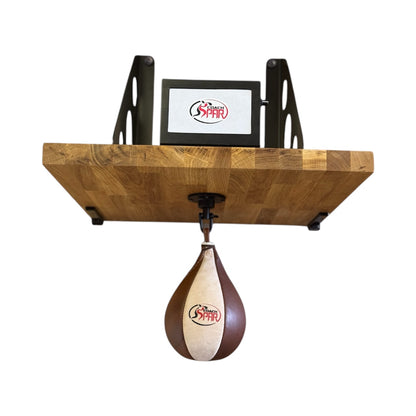 Coachspar Electronic Speedball