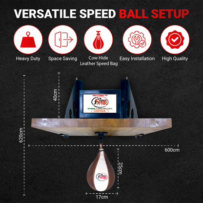 Coachspar Electronic Speedball